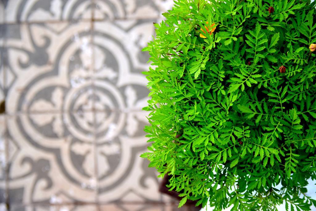 Riad Khmisa Tétouan Exteriör bild